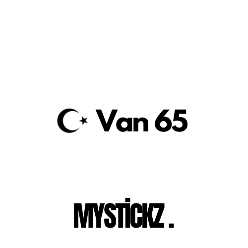 Van 65 - MYSTICKZ