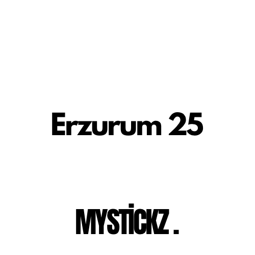 Erzurum 25 - MYSTICKZ