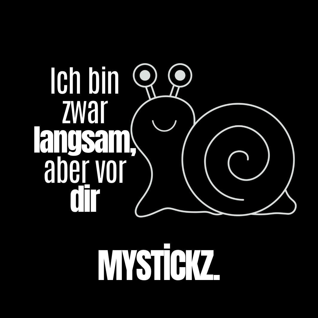 Ich bin zwar langsam - MYSTİCKZ